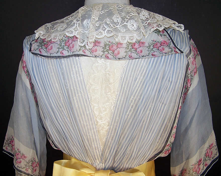 Edwardian Titanic Blue Silk Chiffon Roses Tea Gown Dress back view.