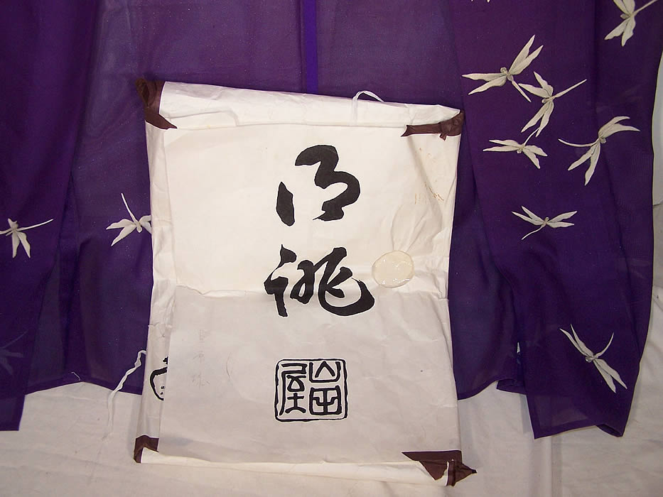 Japanese Geisha Sheer Silk Screen Dragonfly Plum Kimono Close up.