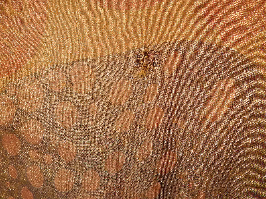 Vintage Art Deco Gold Lam&eacute; Lame Abstract Print Silk Fringe Flapper Shawl Dress
It is in good condition, with only a few frayed fringe and a tiny woven mended repair on the back top (see close-up). This is truly a exceptional piece of Art Deco wearable textile art! 