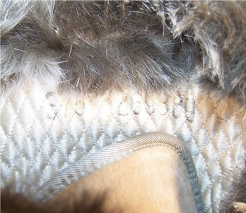Edwardian Ecru Velvet Gray Fur Trim Winter Carriage Boots Close up.