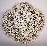 Vintage Floral White Daisies Wide Brim Clamshell Summer Sun Hat