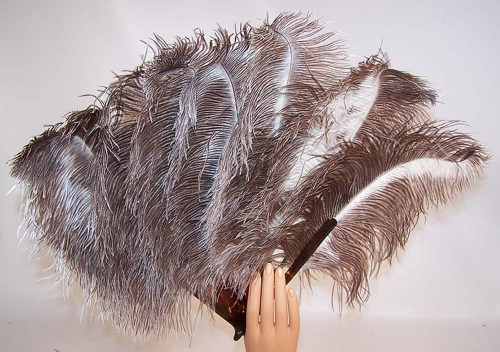 Antique Ostrich Farm Albertine Curacao Natural Gray Feather Fan 